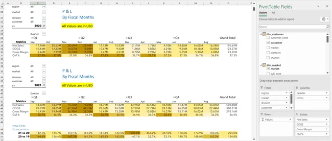 P&L Report - [Excel | Pivot Table | Power Query]